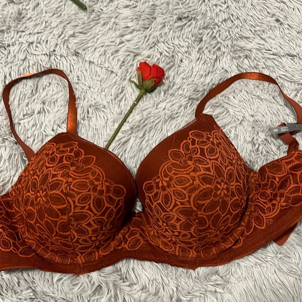 Beautiful Bra